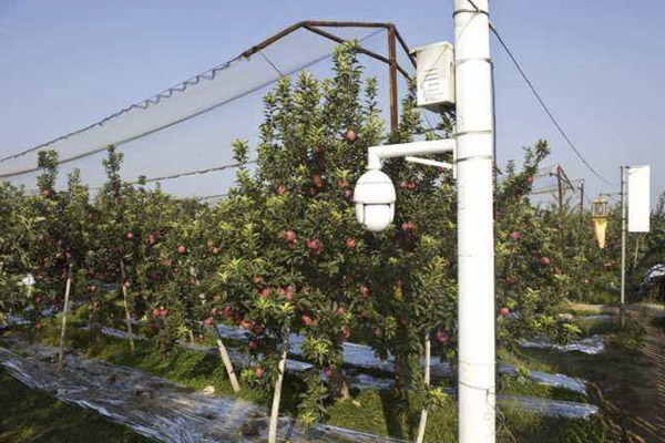 野外莳植基地装置智能监控系统